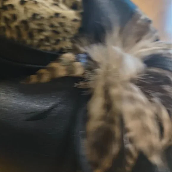 Women’s Leopard Print Brim Hat | Statement / Dress / Church | One Size - Picture 2 of 6